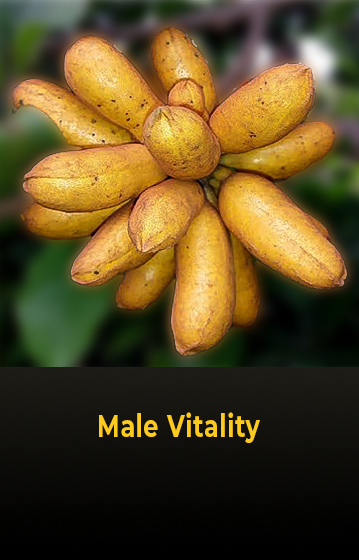 Male Vitality